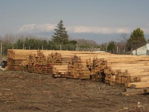 ΣΥΝΤΗΡΗΣΗ ΚΑΙ ΙΔΙΟΤΗΤΕΣ ΞΥΛΟΥ